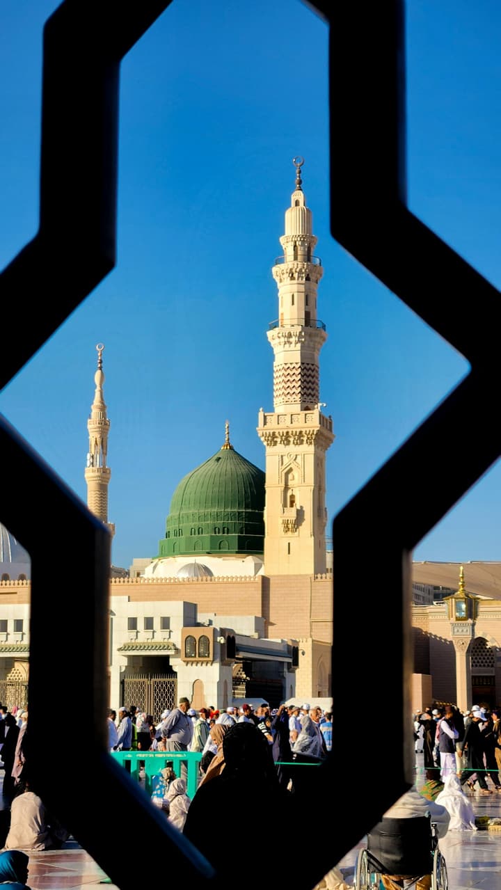 باقة الاقتصادية — انطلاق بالحافلات